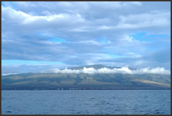 Custom Meteorological Services