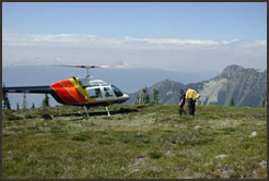 Custom Weather Forecasting