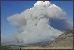 Forest Fire Weather Consulting