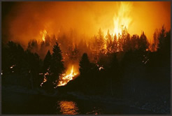 Forest Fire Weather Forensics