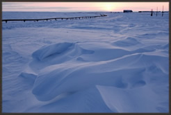 Weather Forecasting Consultant